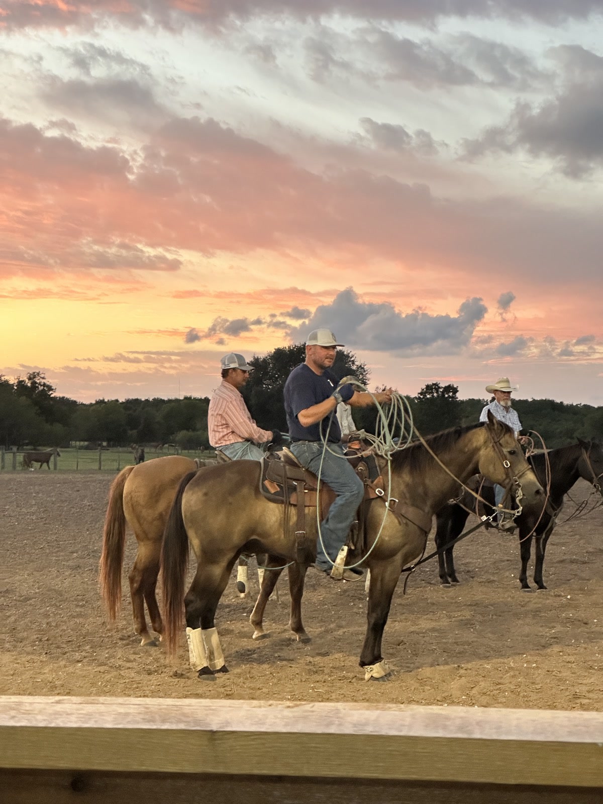 Team roping at the 7J Ranch arena in Bay City, Texas