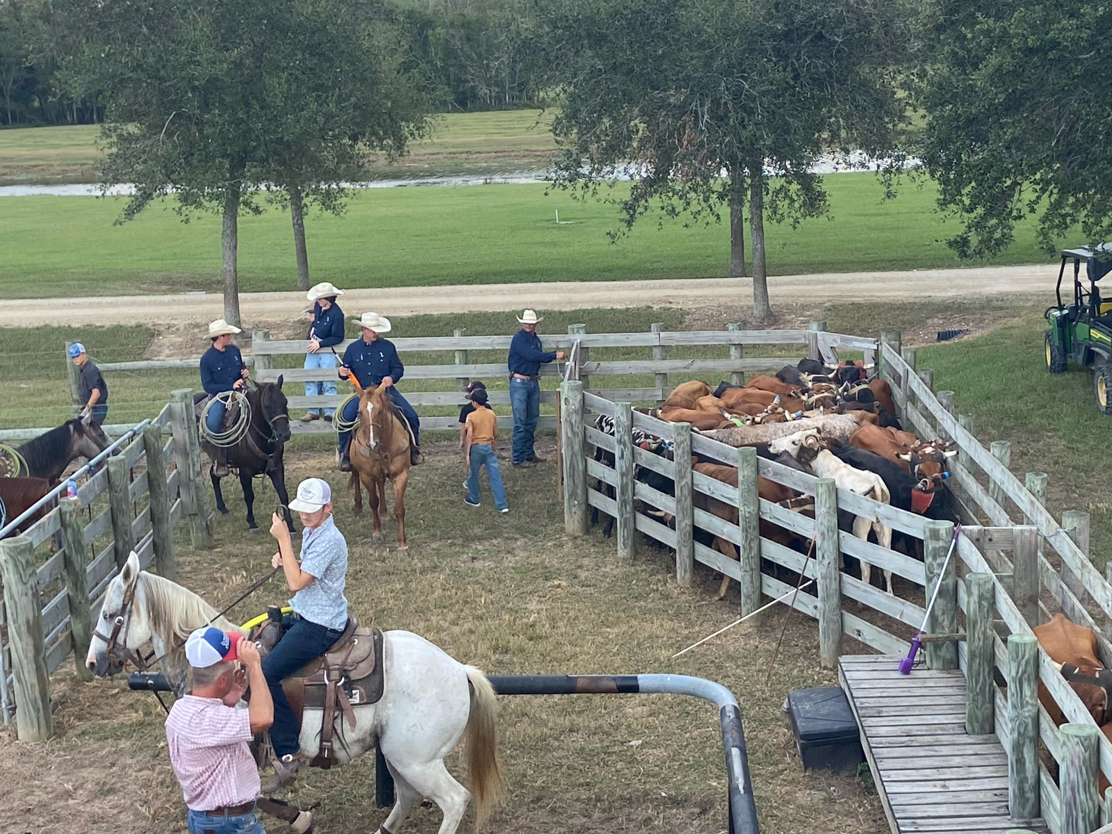 Team roping at the 7J Ranch arena in Bay City, Texas