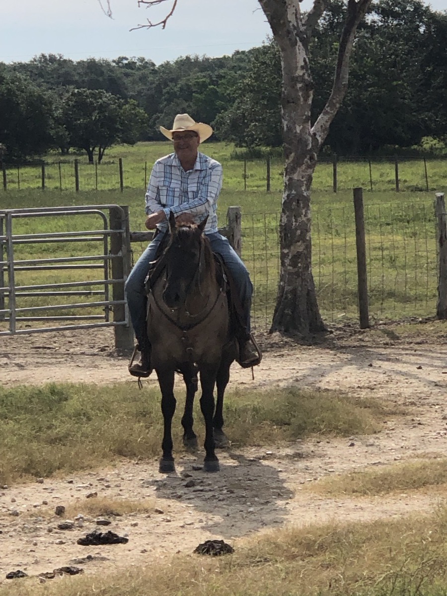 7J Ranch quarter horses in Bay City, Texas